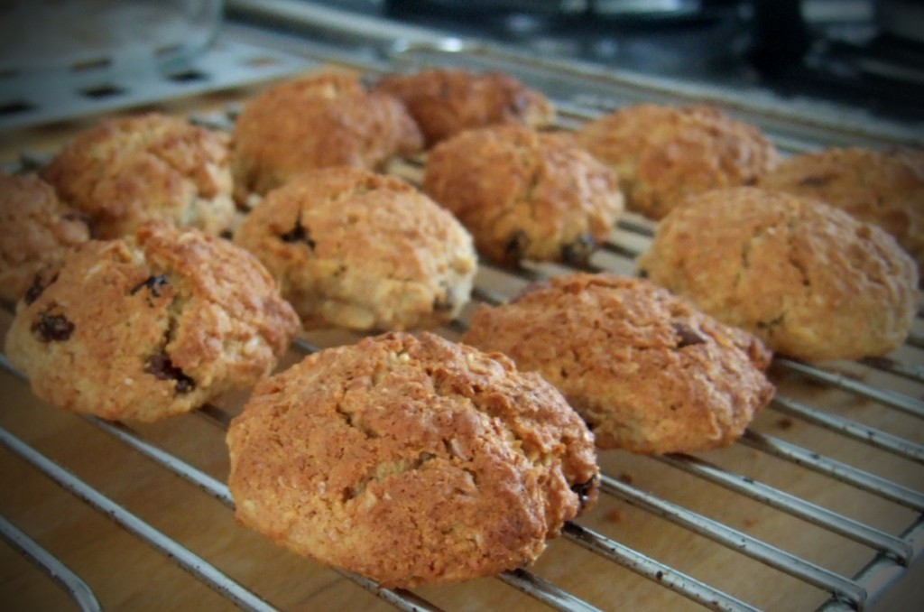 Chocolate chip oat cookies