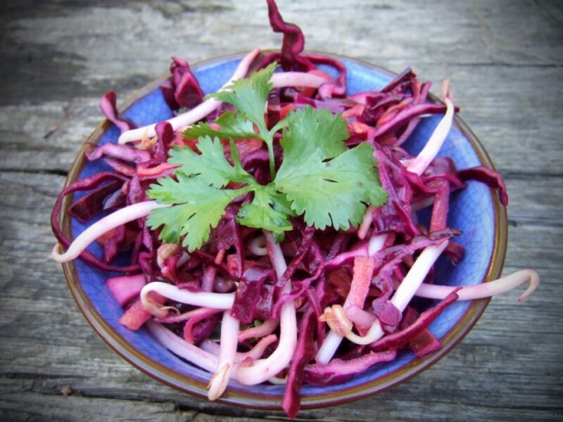 Japanese coleslaw