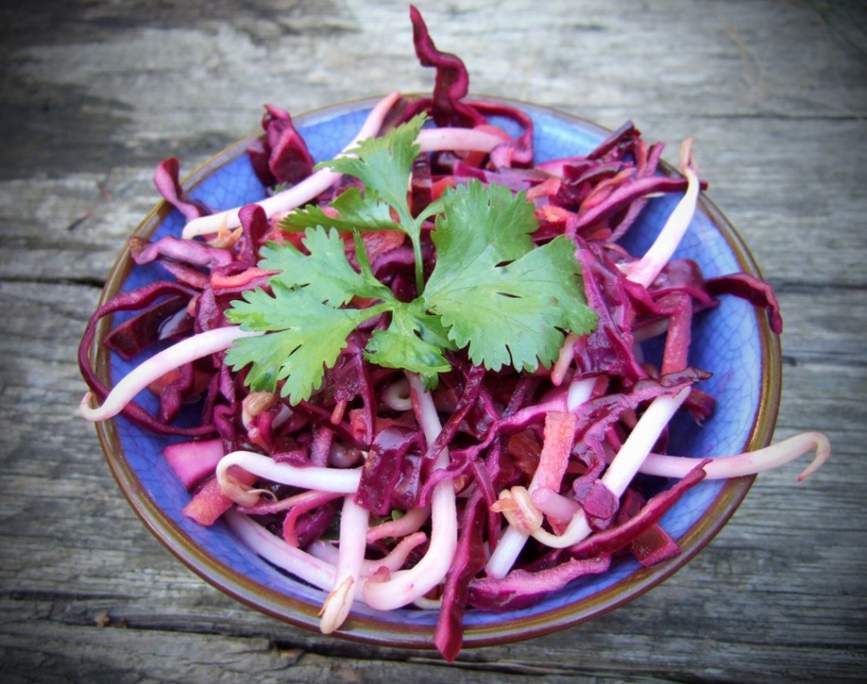 Japanese coleslaw