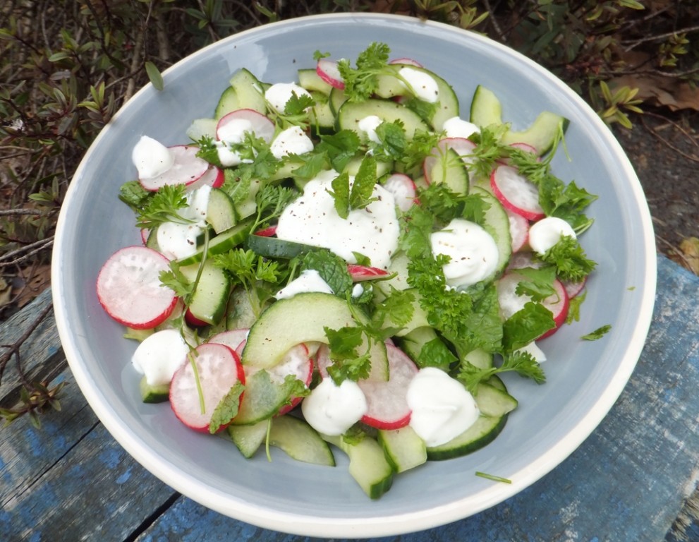 Cucumber and radish salad with goat cheese dressing