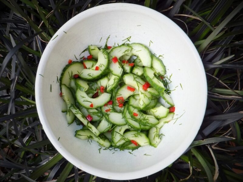 Spicy cucumber salad