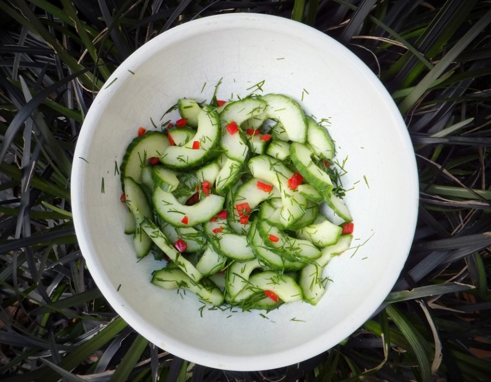 Spicy cucumber salad