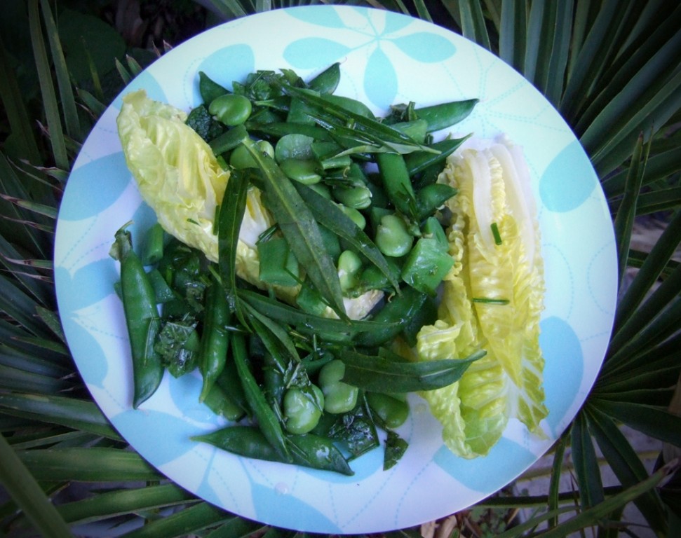 Herby bean & pea salad