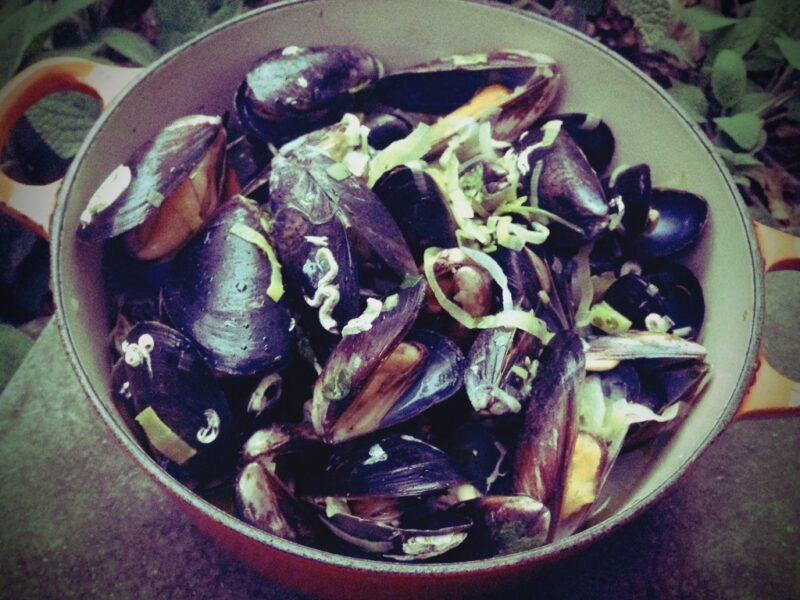 Mussels with White Wine, Leak & Fennel