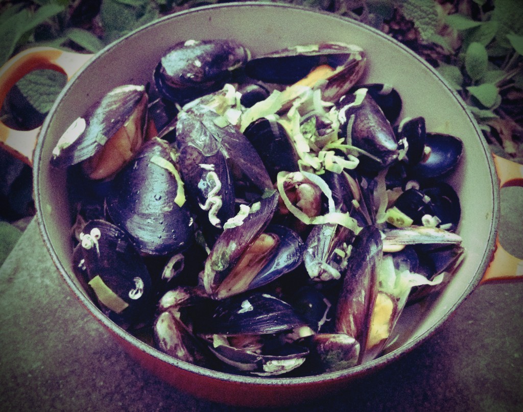 Mussels with White Wine, Leak & Fennel