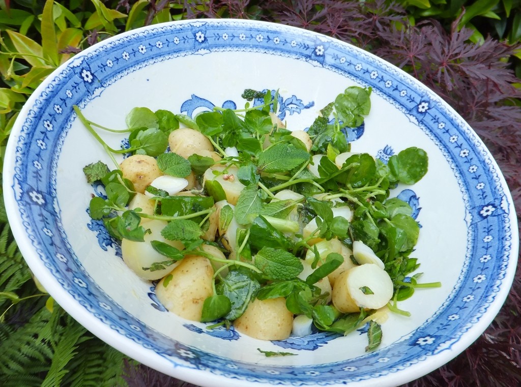 New potato and watercress salad