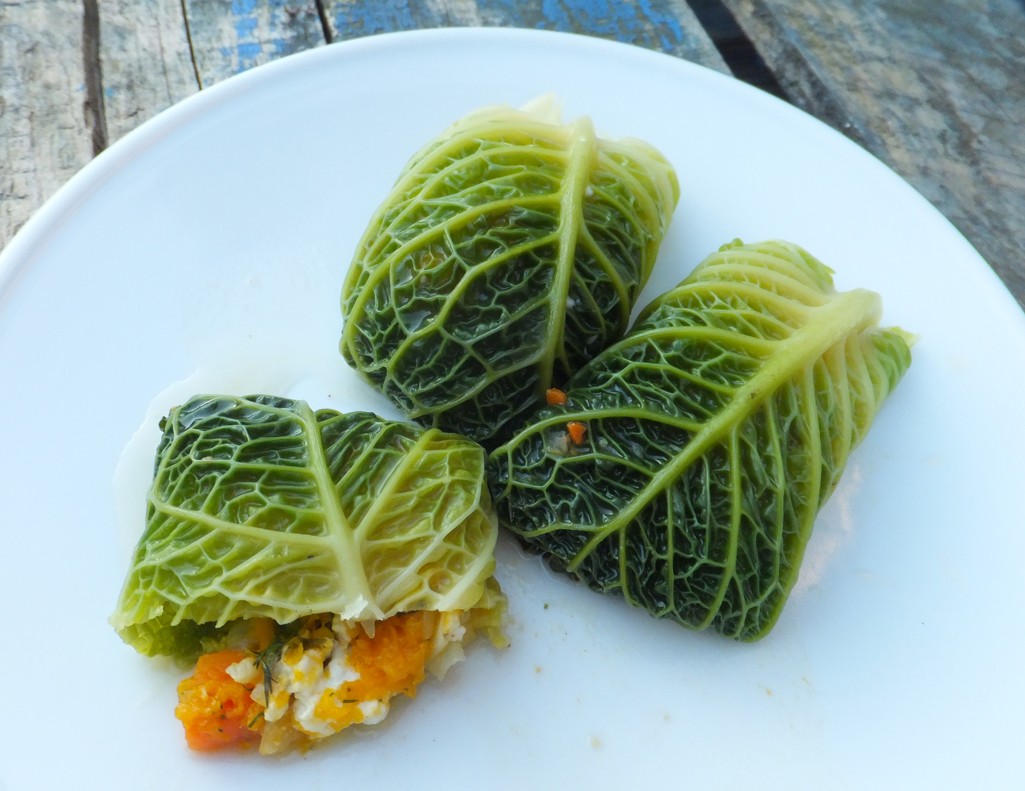 Stuffed cabbage rolls with feta and squash