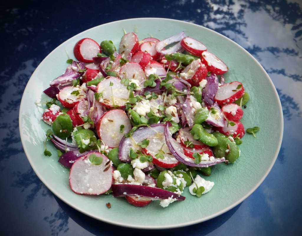 Broad bean, radish and feta salad