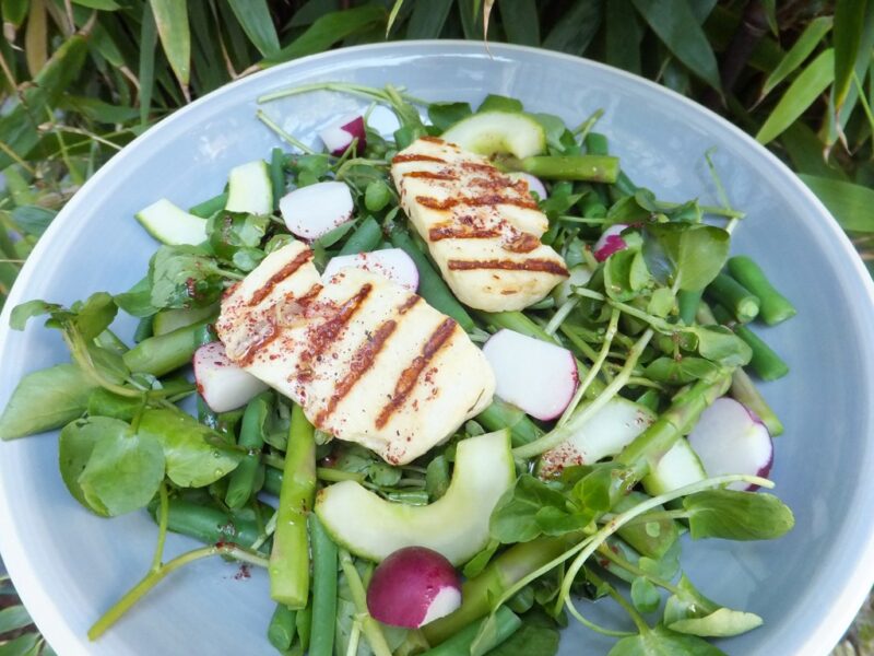 Halloumi with summer vegetables and spiced dressing