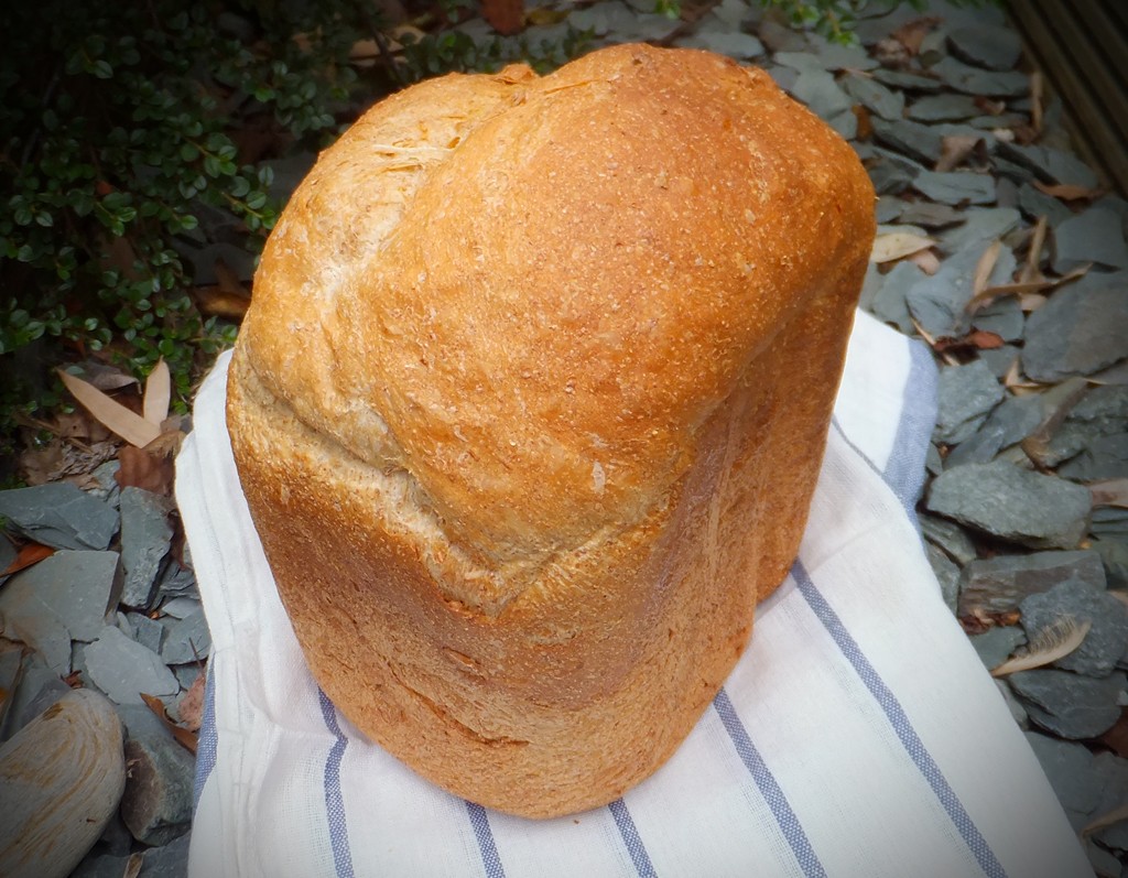 Sunflower and Honey Loaf