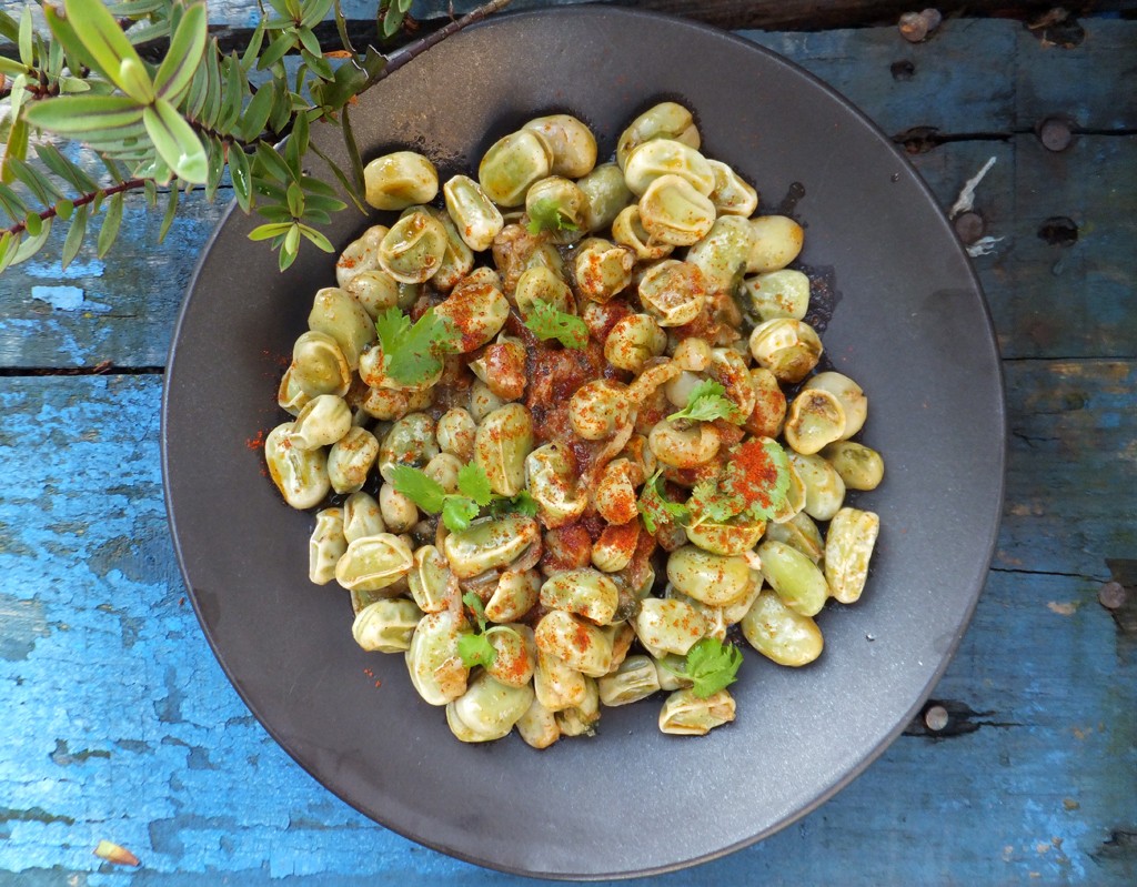 Spiced broad beans