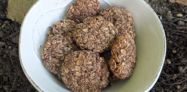 Banana & oat cookies