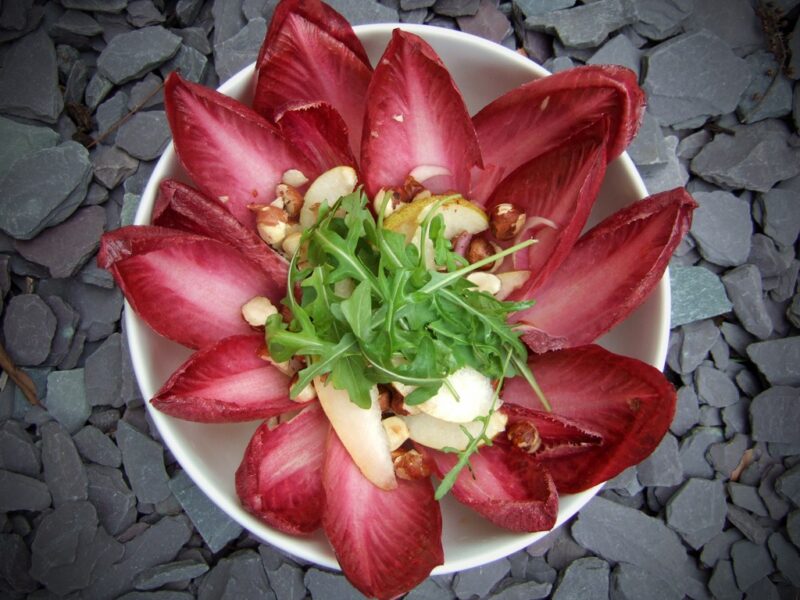 Red chicory and pear salad