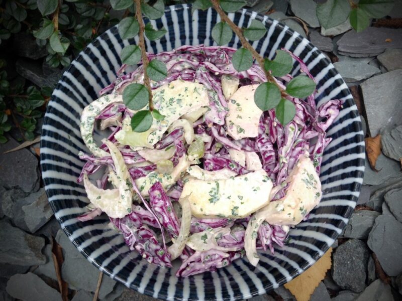 Fennel, red cabbage and apple slaw