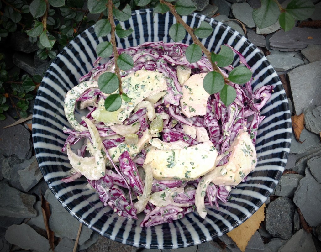 Fennel, red cabbage and apple slaw