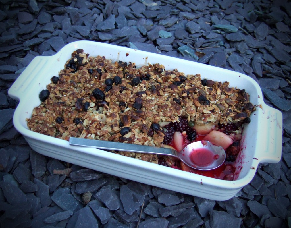 Pear and blackberry crumble