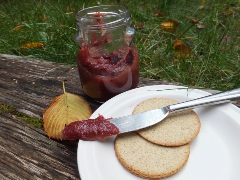 Fig jam with rosemary