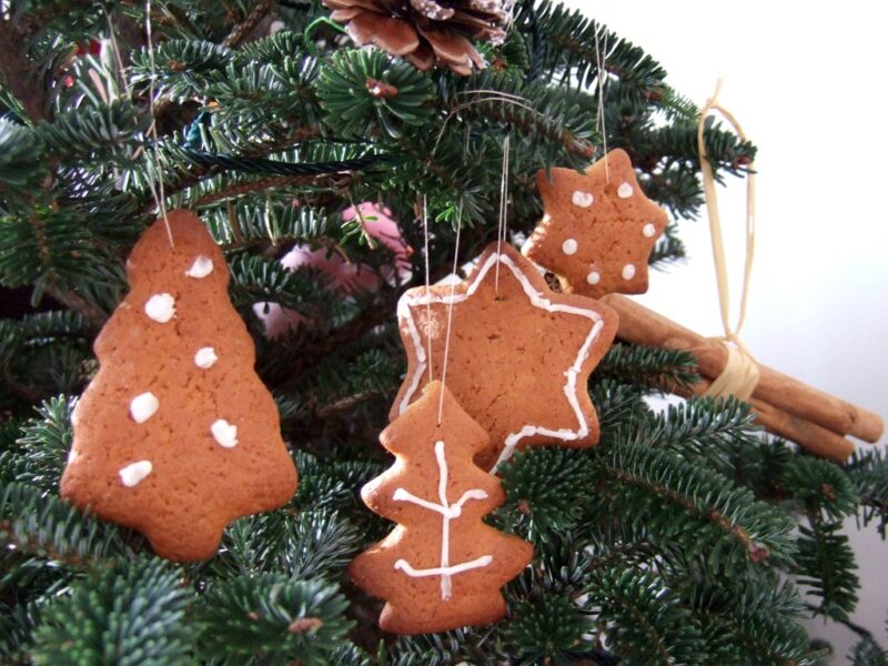 Honey & Cinnamon Christmas biscuits