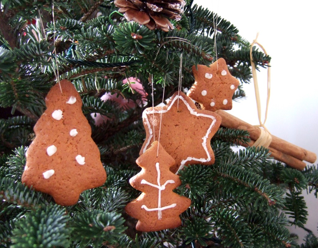 Honey & Cinnamon Christmas biscuits