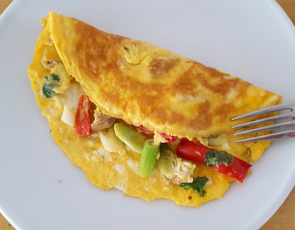 Chicken and spring onion omelette