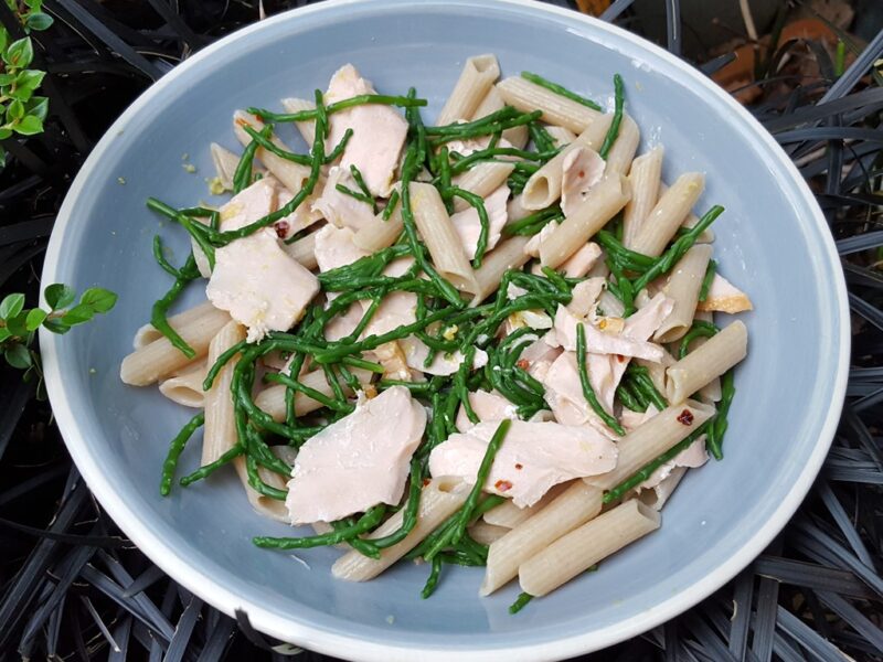 Salmon & Samphire pasta