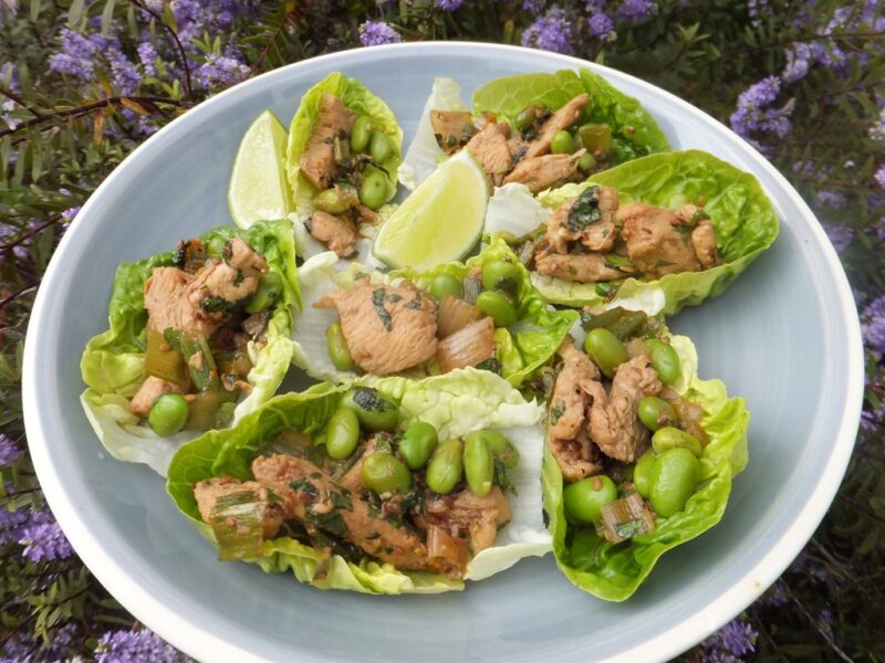 Asian style chicken lettuce wraps