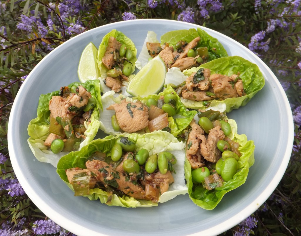 Asian style chicken lettuce wraps