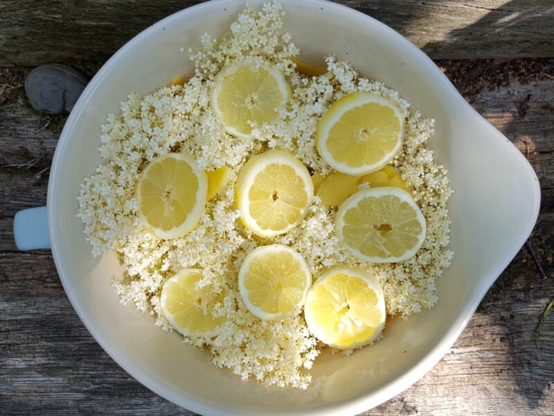 Traditional elderflower cordial