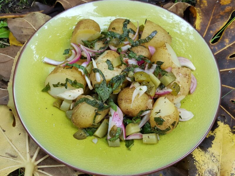 Minty potato salad with gherkins