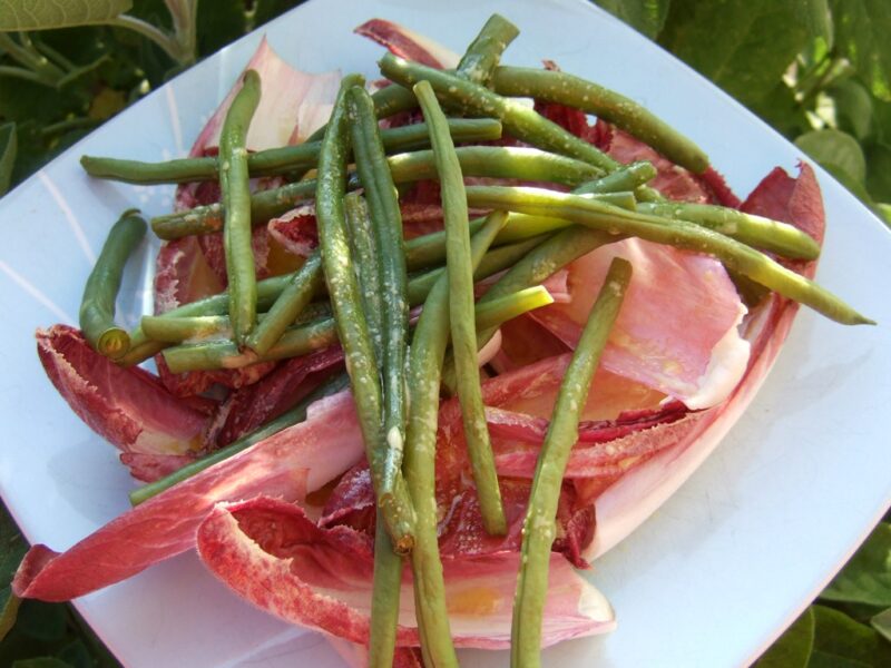 Chicory and green bean salad