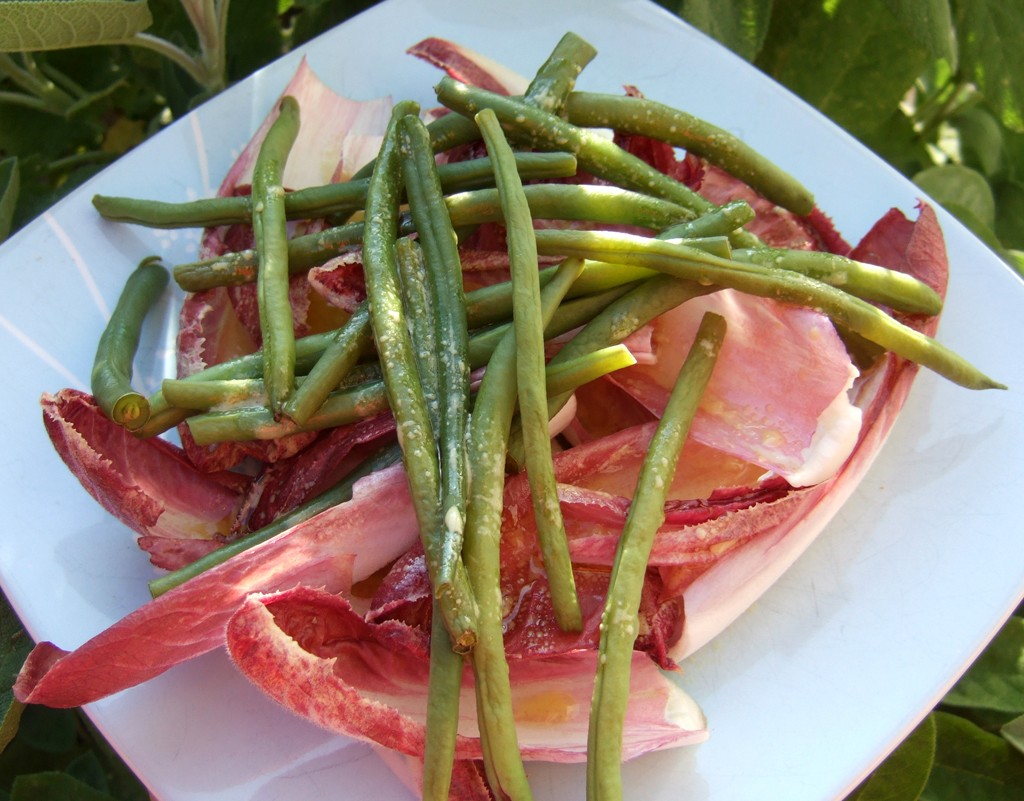 Chicory and green bean salad