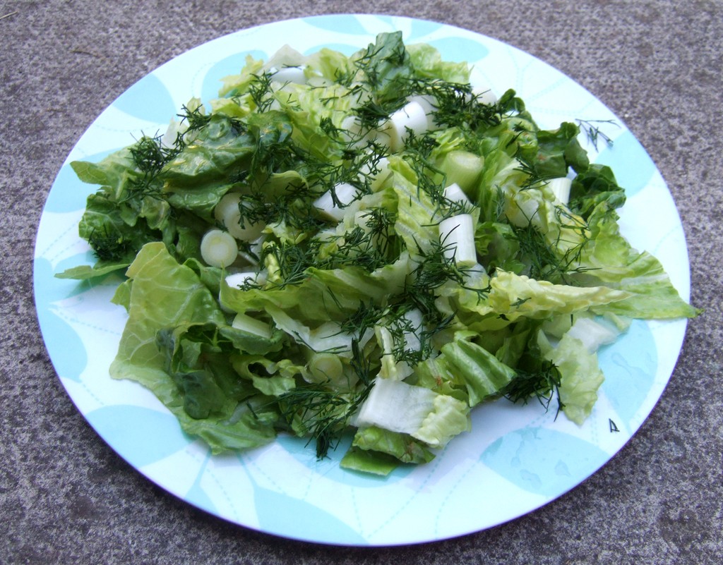 Greek green salad