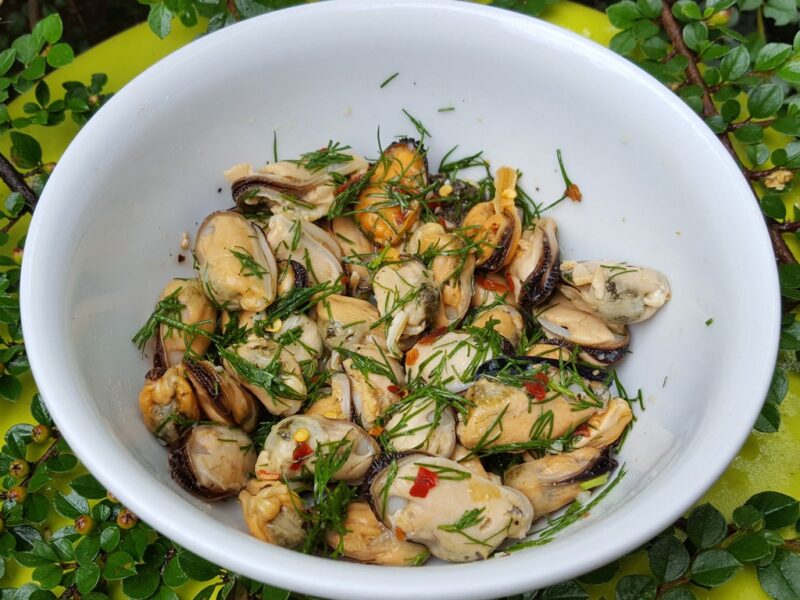 Simple Mussel salad