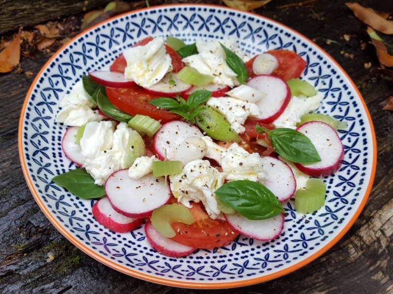 Tomato, radish and mozzarella salad