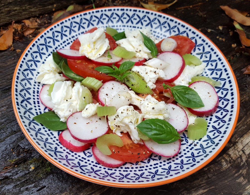 Tomato, radish and mozzarella salad