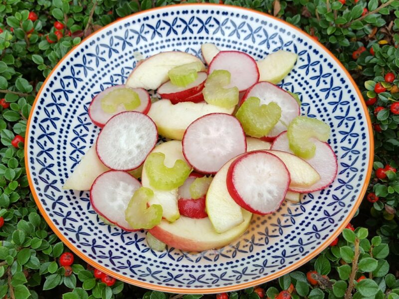 Apple and radish salad