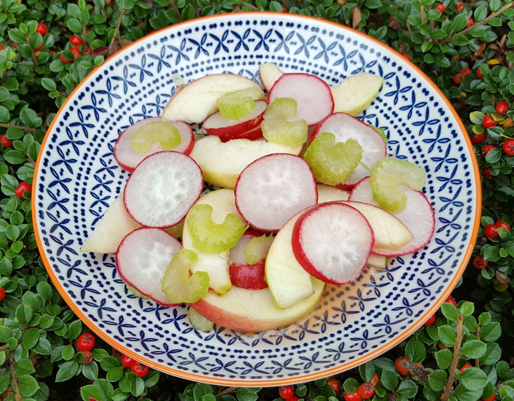 Apple and radish salad