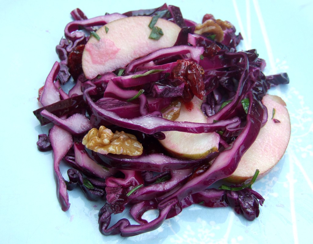 Red cabbage, apple and cranberry salad