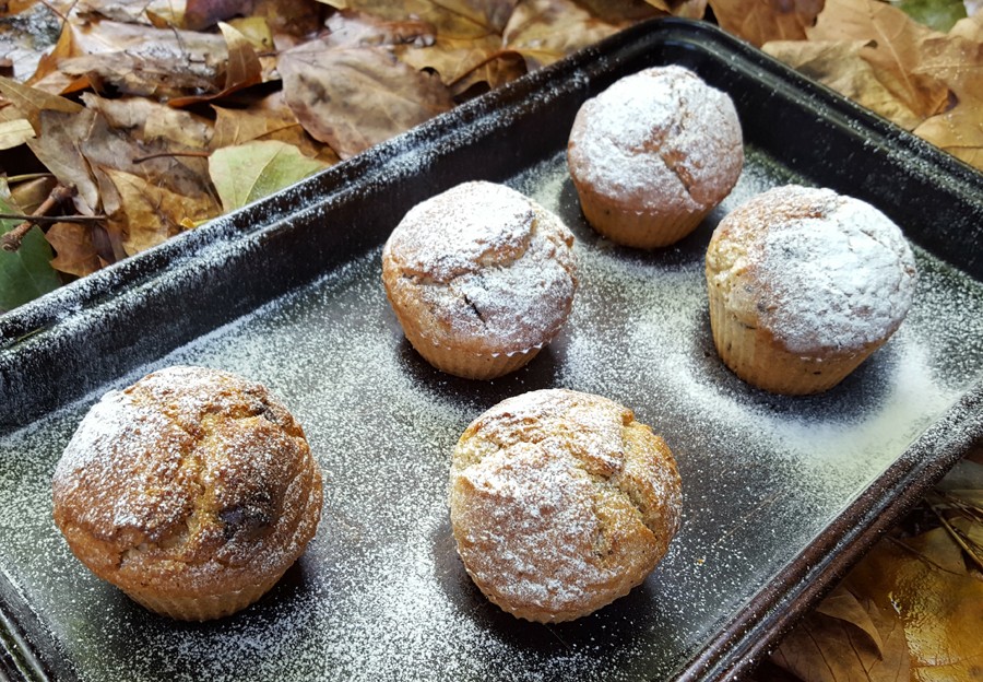 Banana, chocolate and coconut muffins