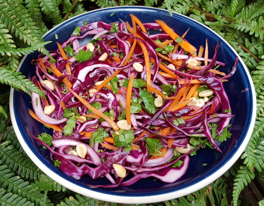 Spicy red cabbage and carrot slaw