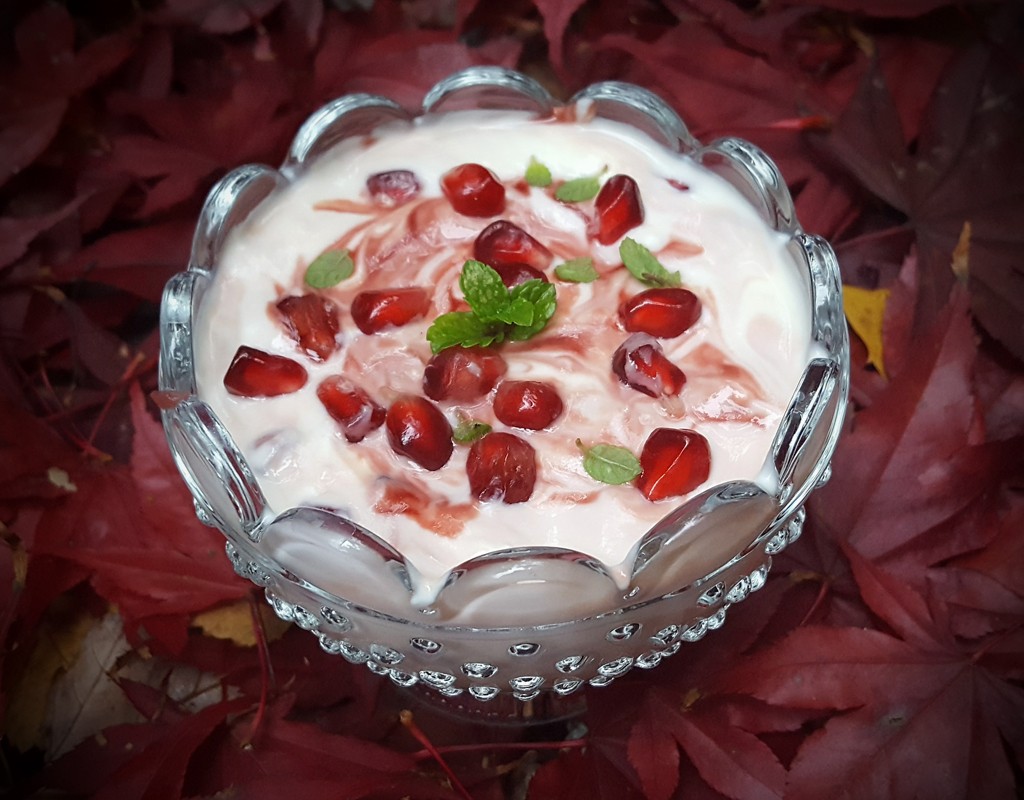 Yogurt and pomegranate dessert