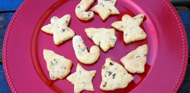 Cranberry and orange cookies