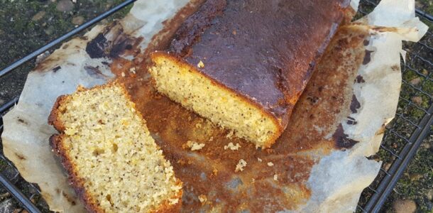 Gluten-free lemon and poppy seed cake