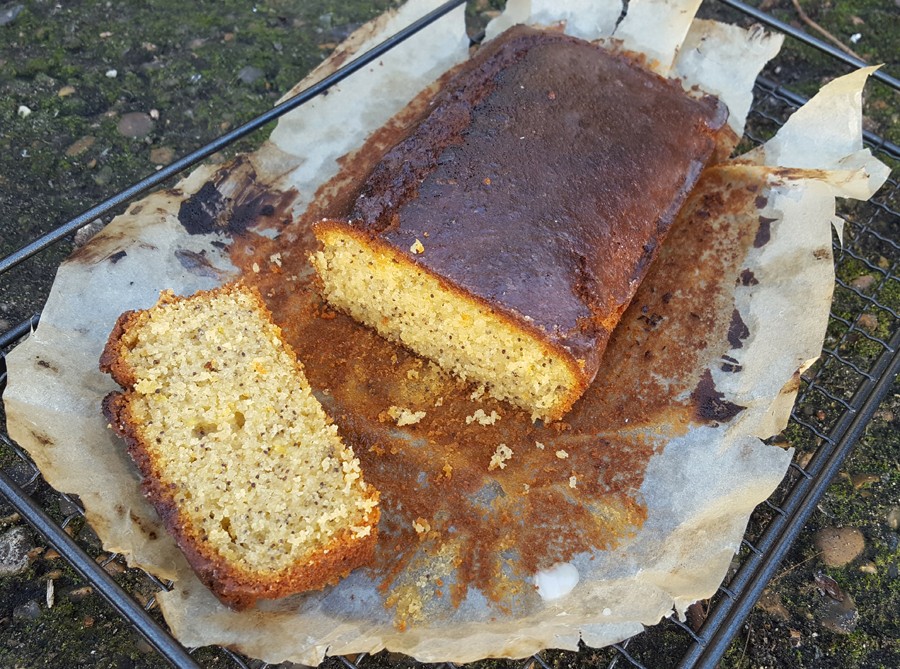 Gluten-free lemon and poppy seed cake