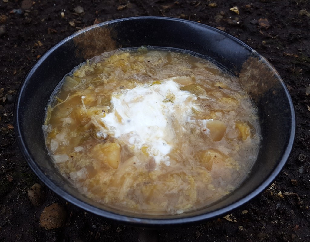 Two Cabbage Celery Soup