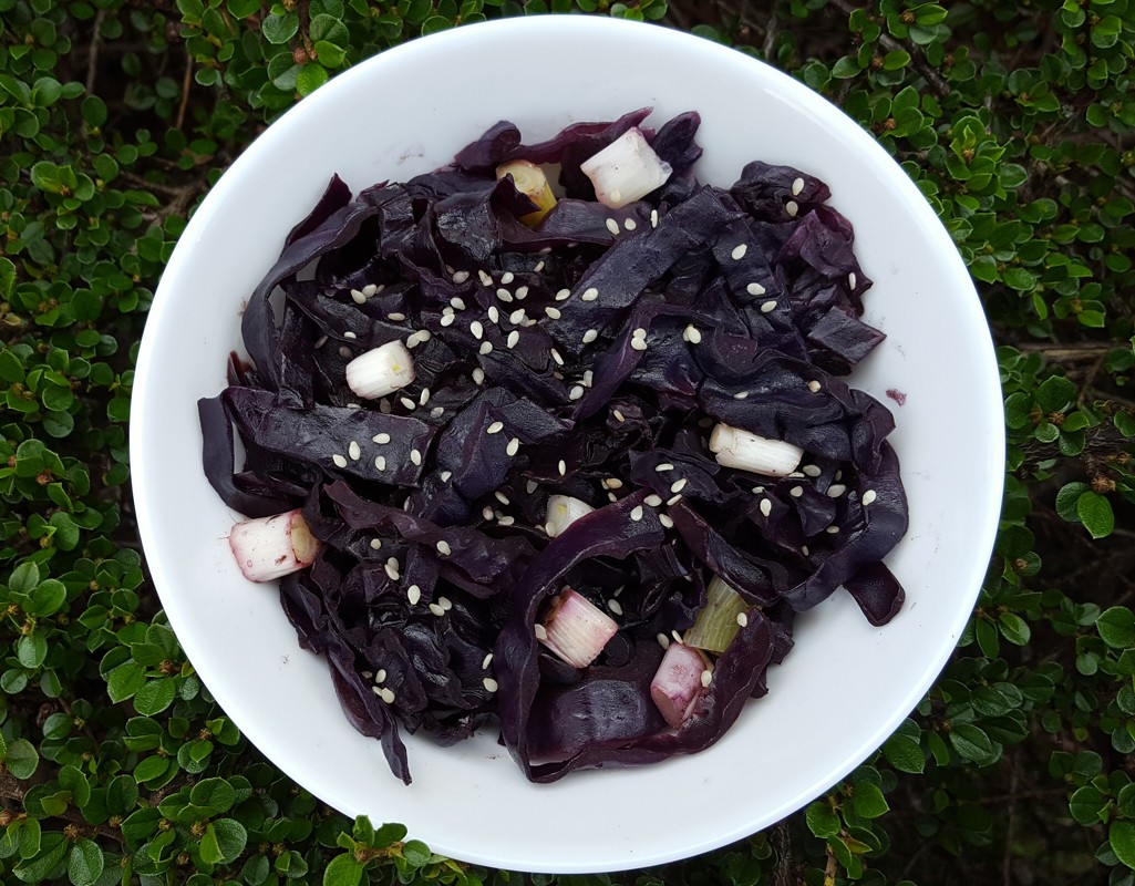 Miso braised red cabbage