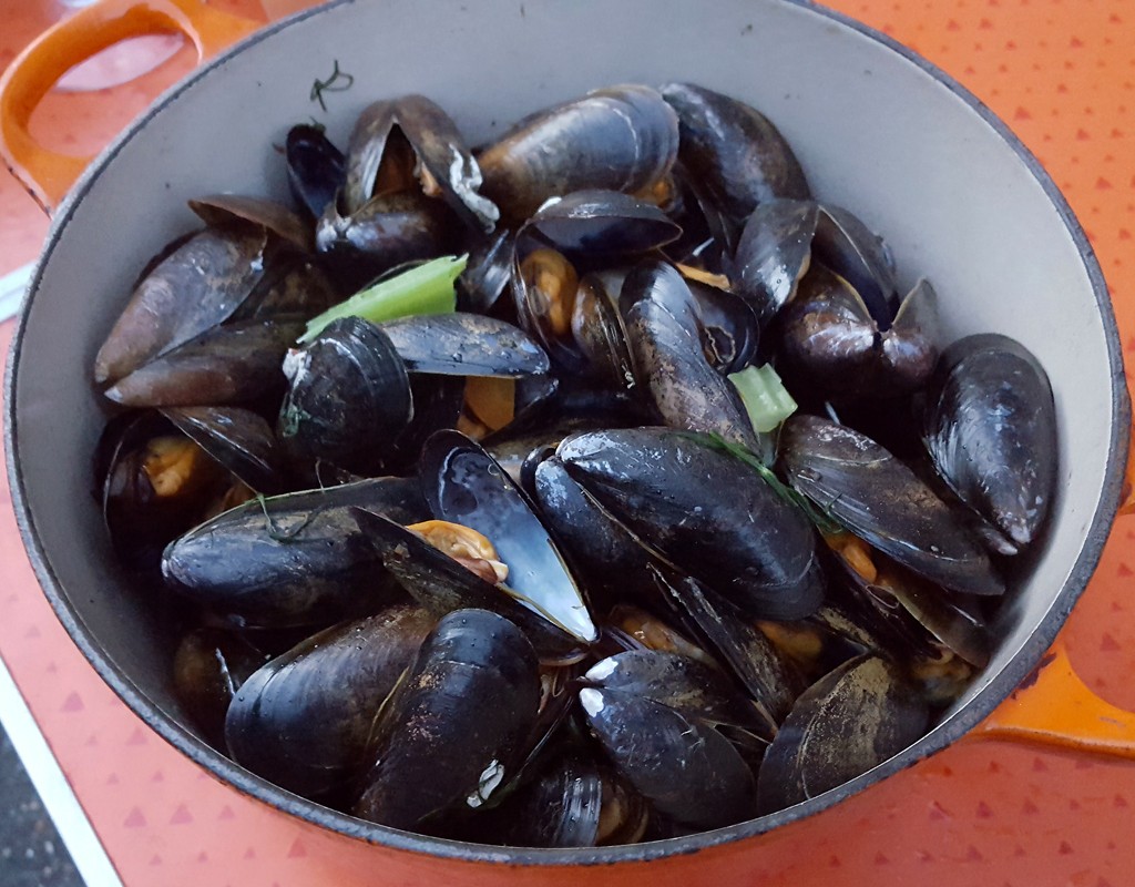 White Wine and Dill Mussels