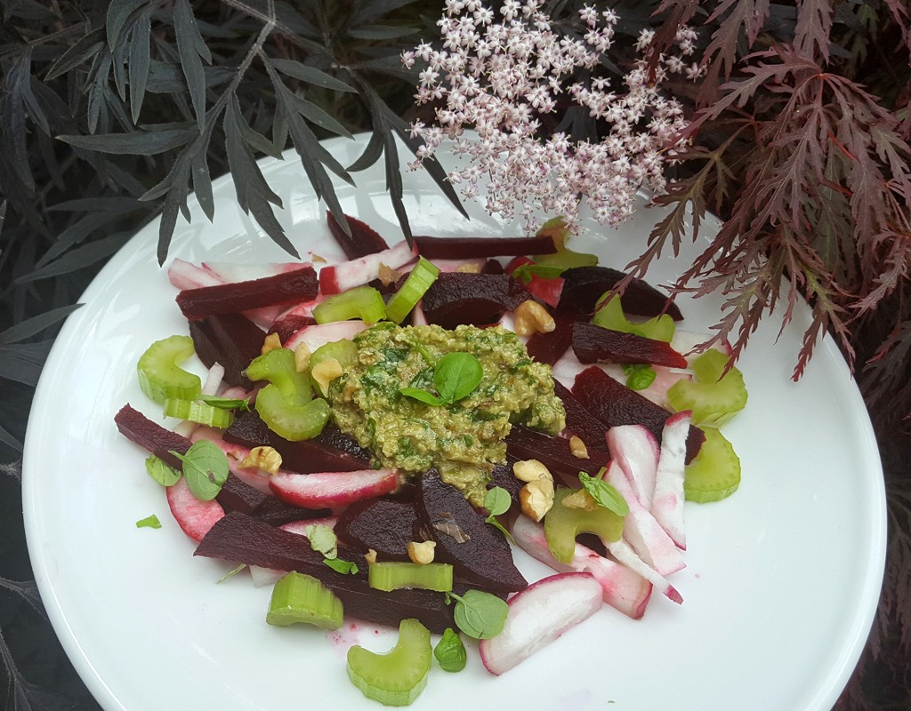 Beetroot and radish salad with walnut pesto