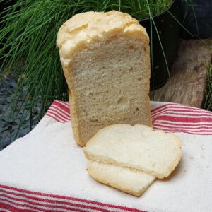 Simple bread machine Ciabatta