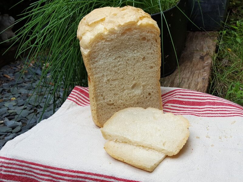 Simple bread machine Ciabatta